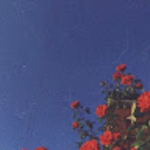 Meet your Posher, Nourhan